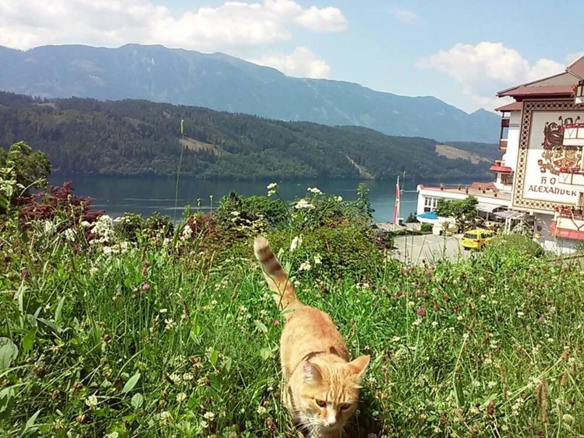 Haus Kraller-Urlaub Mit Seeblick Apartman Millstatt Kültér fotó